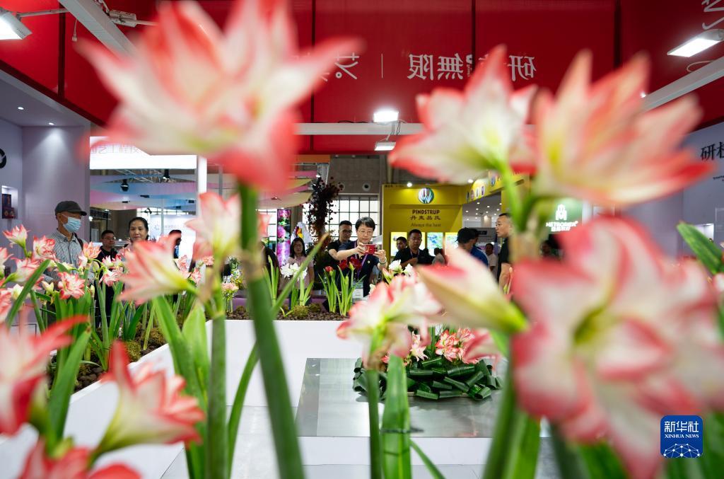 百老汇会员
